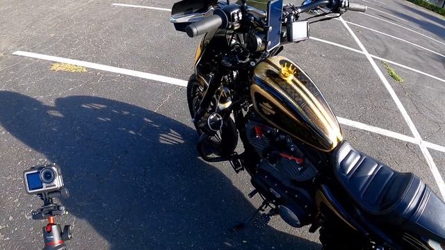 West Coast Club Style Sportster Budget Build Walk Around - Roadster Amazon Build