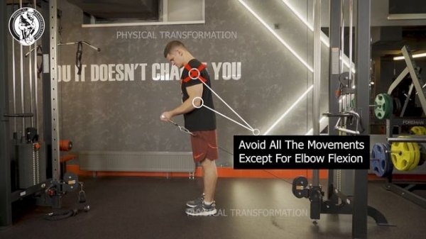 Facing Away Cable Bicep Curl ( Сгибания предплечья в кроссовере унилатерально )