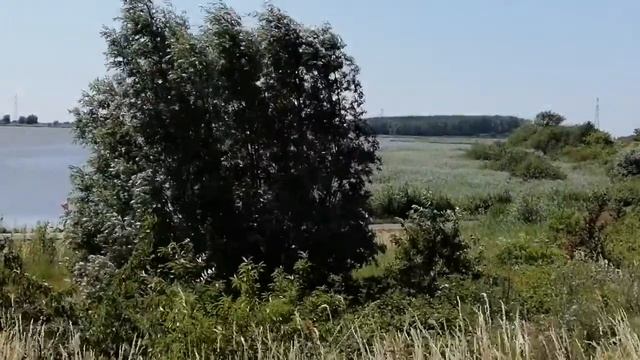 Bergen op zoom #Netherlands смотреть онлайн