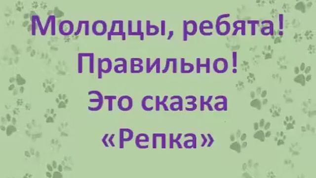 Уроу ЭТИКИ- Мои любимые животные смотреть онлайн