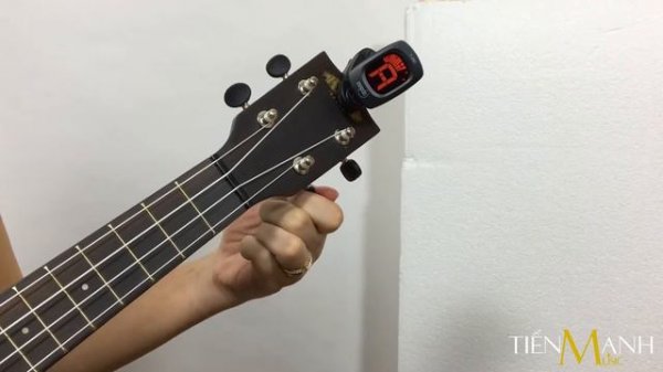 Hướng Dẫn Sử Dụng Máy Lên Dây Musedo T-29C