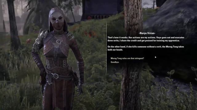 Let's Play Elder Scrolls Online: Morrowind BLIND [Part 9] Arenim Manor Infiltration смотреть онлайн