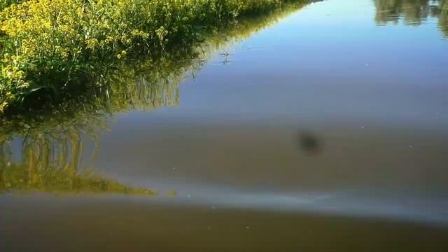 Летняя мормышка. Москва река. Успенское. Рыбак Андрей Николаев.Боковой кивок. Поймал леща на пороло смотреть онлайн