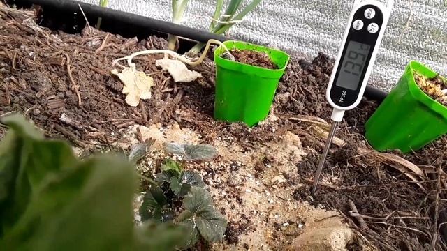 Строительный Фокус