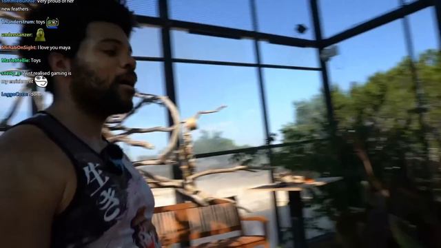 Trihex Visits Maya At Alveus смотреть онлайн