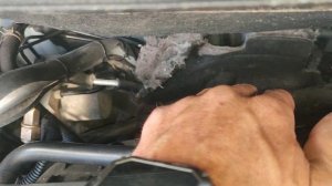 лечим гбо 4го поколения на кашкай j10