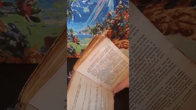 о чем писали 50 лет тому назад / советы для благоустройства жизни и дома смотреть онлайн