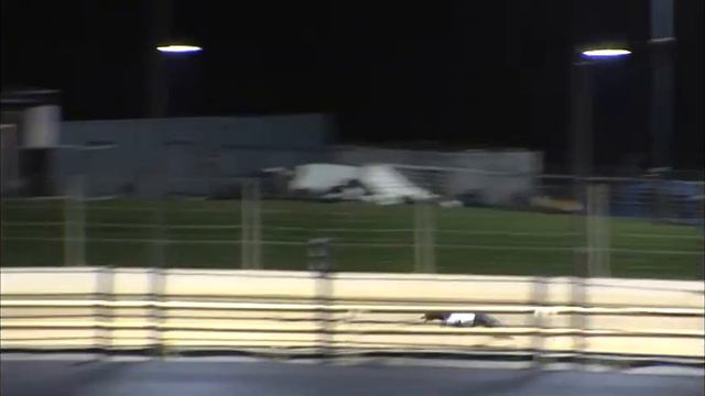 Greyhound 2022- 19.12.2022 Trial 4 смотреть онлайн