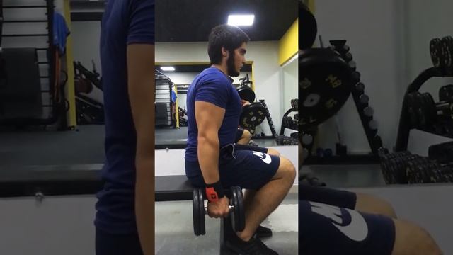 Подъем гантелей на бицепс сидя на скамье смотреть онлайн