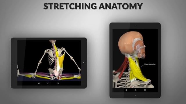 Strength Training app by Muscle and Motion смотреть онлайн
