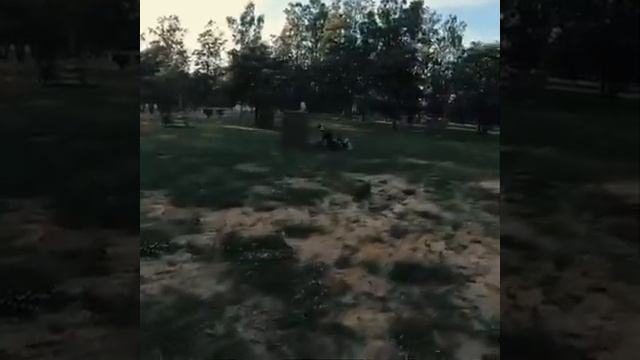 Игра Лазертаг в летнем лагере Альбатрос | Albatross 2019 смотреть онлайн