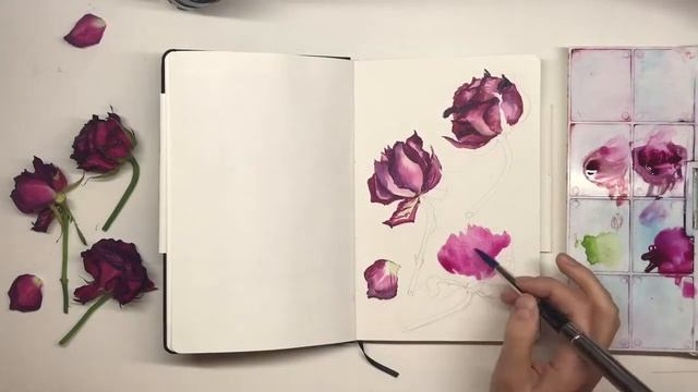 Withered roses in watercolor sketchbook. Засохшие розы в акварельном скетчбуке от Эскода смотреть онлайн