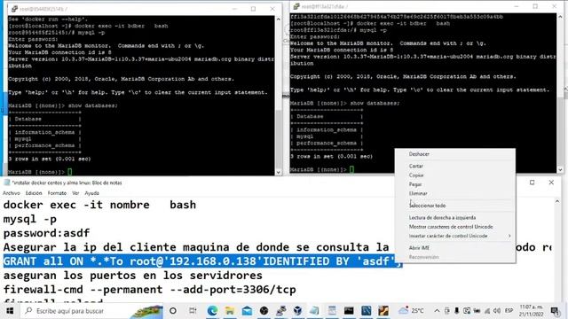 Instalación del Docker de Mariadb y conexión con Workbench смотреть онлайн