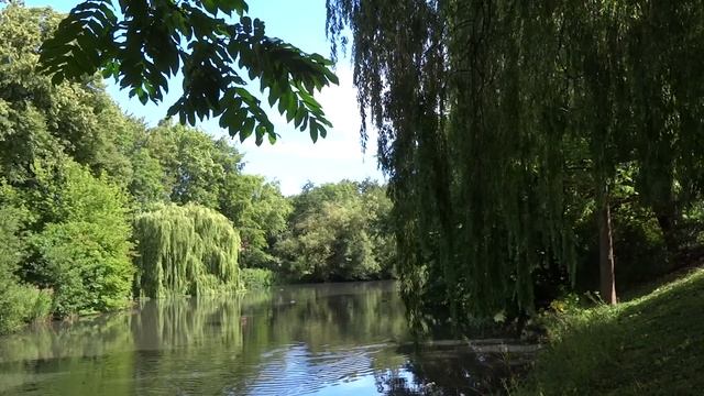 Вы ведь не можете спокойно вести себя. Всегда склоки, скандалы.Ты как со свекровью разговариваешь? смотреть онлайн