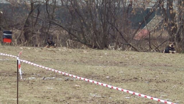 Тихий борьба за жизнь смотреть онлайн