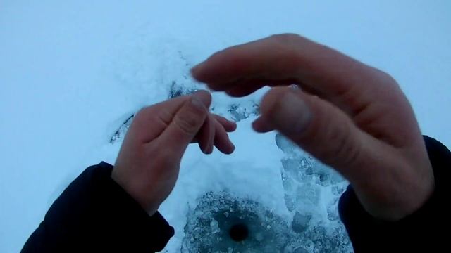 Поиск леща в черте Нижнего Новгорода смотреть онлайн