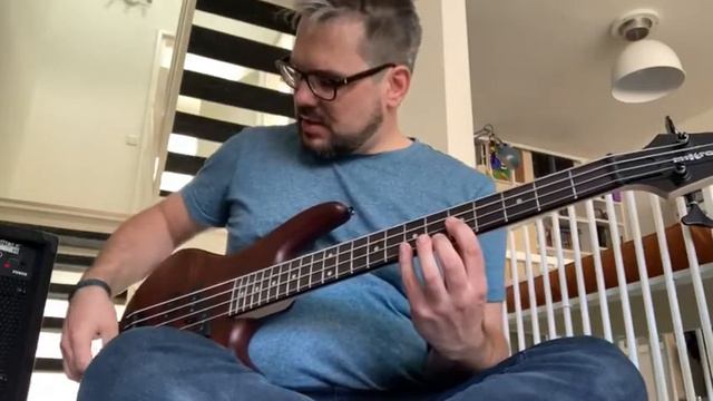 IBANEZ MiKro Bass GSRM20B Review