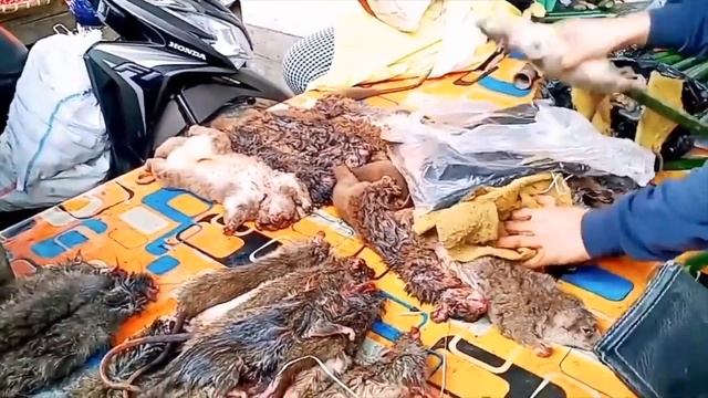 ЖЕСТЬ! ЧТО ЕДЯТ КИТАЙЦЫ (РЫНОК ХУАНАНЬ г.УХАНЬ) смотреть онлайн