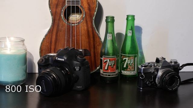 Canon 5D Mark IV 4k Video Low Light Test смотреть онлайн