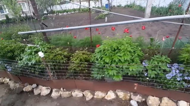 В ДЕРЕВНЕ НА РОДИНЕ.КУРСКАЯ ОБЛАСТЬ.В ГОСТЯХ У ПЕРВОЙ УЧИТЕЛЬНИЦЫ МОЕЙ. смотреть онлайн