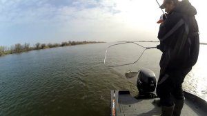 5 ошибок  новичка при ловле жереха на спиннинг. [Пора ловить Жереха]