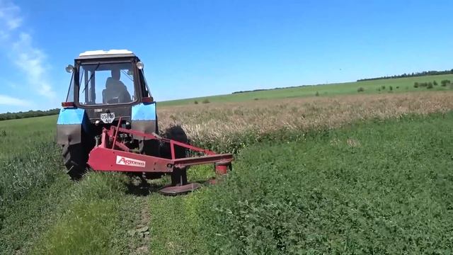 Покос люцерны и эспарцета 2019. смотреть онлайн