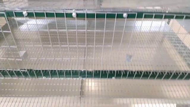 Обзор/Купить недорого клетку 80-100Metal Premium№2 для перепелов интернет магазин - Большой фермер смотреть онлайн