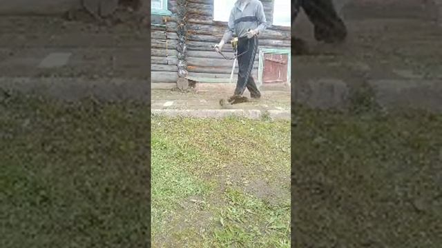 Ponikigogo ремонт тримера