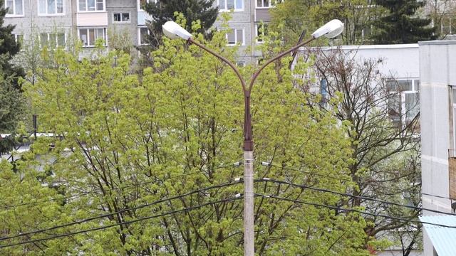 Canon EOS 90D + Canon EF 24-105mm F/4L IS II USM - 4K Videotest