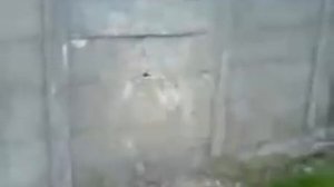 Придурок ломает забор