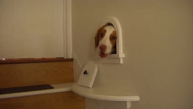 Дивергент, глава 2: Инсургент смотреть онлайн