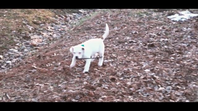 SONY DSC-WX350 video test смотреть онлайн