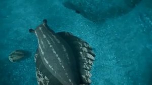 Аномалокарис ( Прогулки с монстрами: жизнь до динозавров )