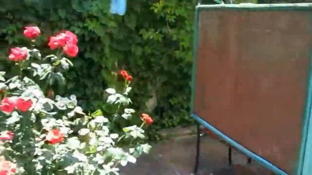 Гостевой дом "Дарья" (Межводное) смотреть онлайн