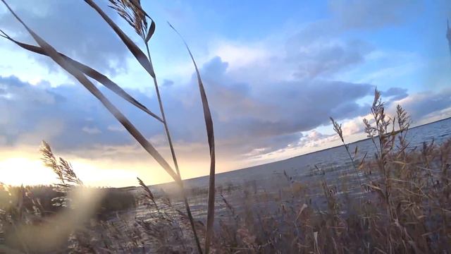 Охота #241 давно такой охоты не было, на утку смотреть онлайн