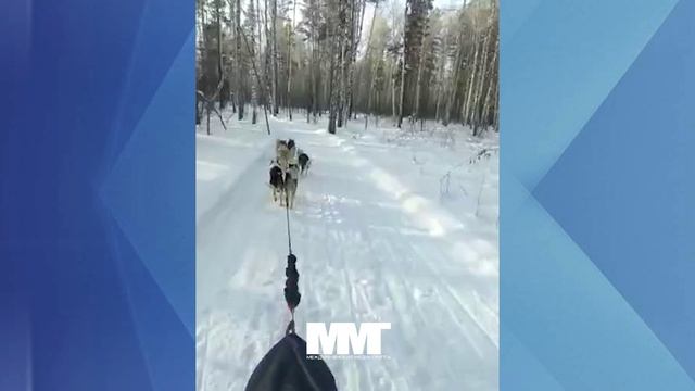 Наши пришли вторыми Сила Сибири смотреть онлайн