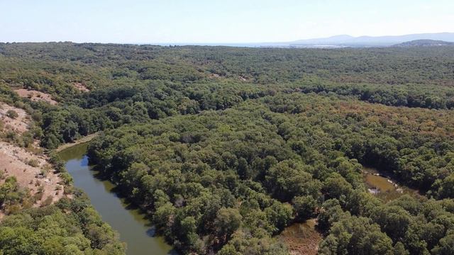 Река Ропотамо Мавик Мини смотреть онлайн