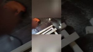 ДЕЛАЮ КЛЕТКУ ДЛЯ КАНАРЕЕК