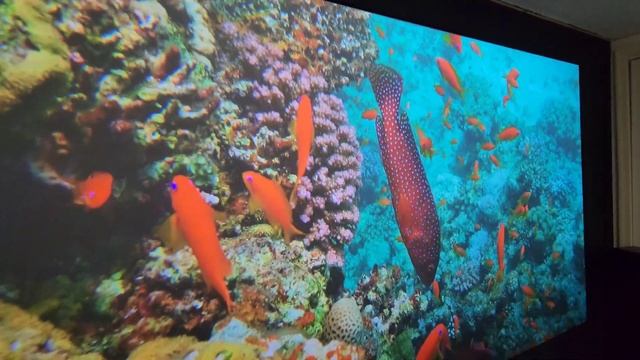 WHAT A TRUE ALR PROJECTION SCREEN SHOULD LOOK LIKE! EPSON LS800 UST PROJECTOR/SPECTRA VANTAGE SCREE