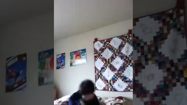 5 ways to be a: pillow pet смотреть онлайн