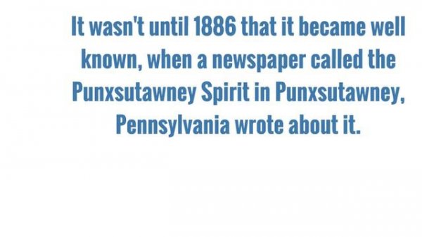 Groundhog Day for Kids