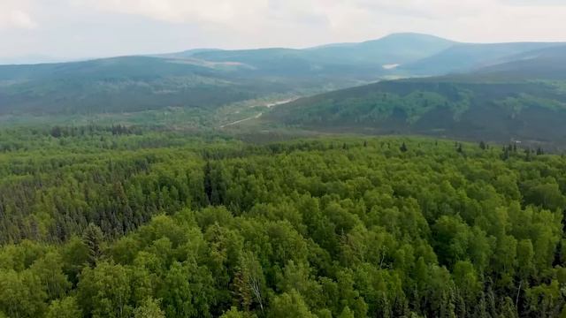 лечебная музыка для сердца и сосудов 🌿 успокаивает нервную систему и радует душу, Нежная музыка #27 смотреть онлайн