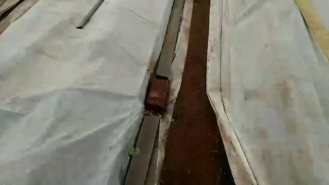 Клубника весенняя обработка смотреть онлайн