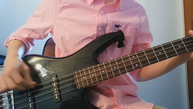 FooFighters - Everlong Bass Cover смотреть онлайн