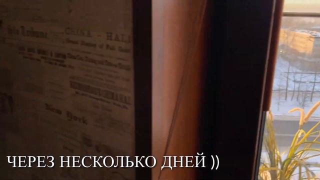 5 ЛЕТ ТЮРЬМЫ - ИСПОВЕДЬ смотреть онлайн