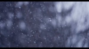 Н.В. Гоголь | Шинель