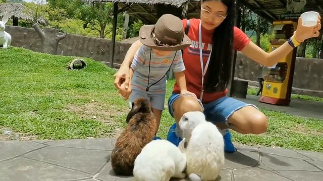 Тайланд. Ратчабури. День 3. Альпака парк.Alpaca park смотреть онлайн