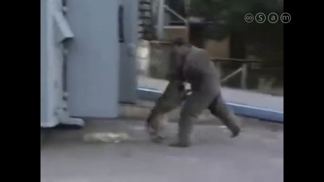 ?ТРЭШ! ЧТО УМЕЕТ МАЛИНУА!?? ???????? ??????!?? смотреть онлайн