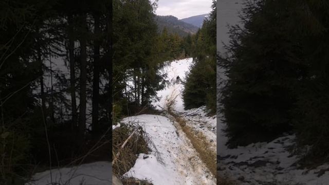 Ендуро:Shineray 200vs250,Иж планета))Forte 200,Sparta 200,Geon x-road 250... смотреть онлайн