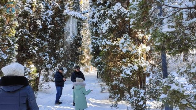 КИСЛОВОДСК 2021. ЭКСКУРСИЯ по зимнему парку. Отвечаем на вопросы. смотреть онлайн